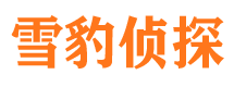 容县市调查公司